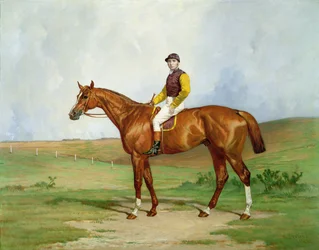 Porträt eines Rennpferdes, 1884